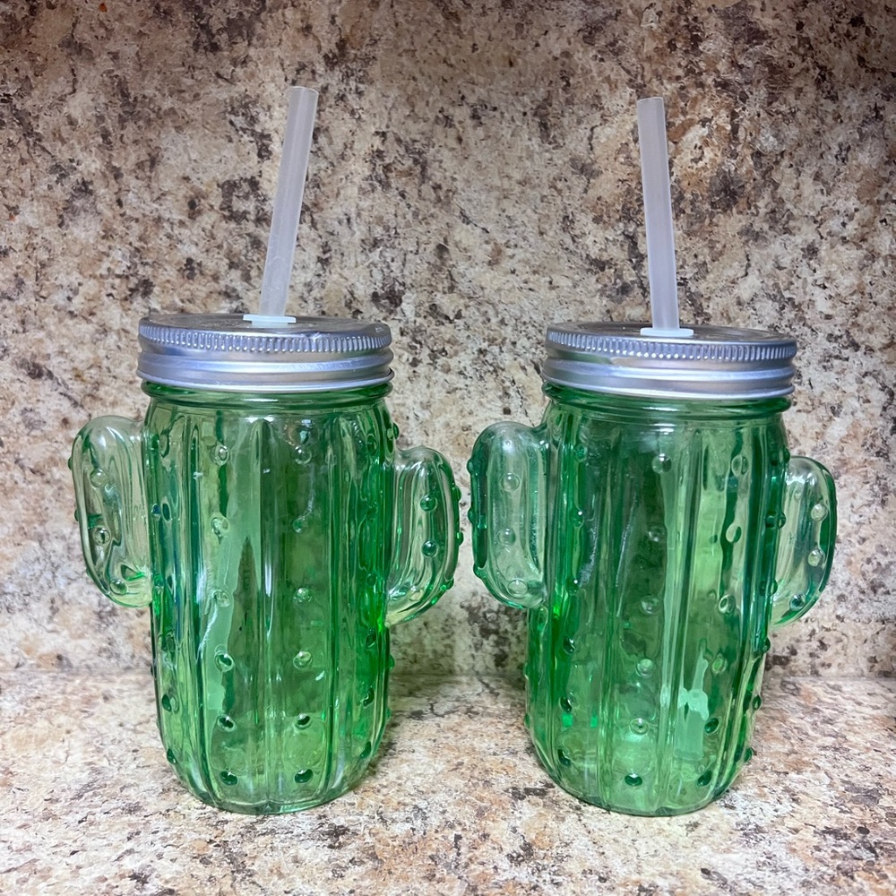 Green Cactus Glass Mason Jar Tumblers